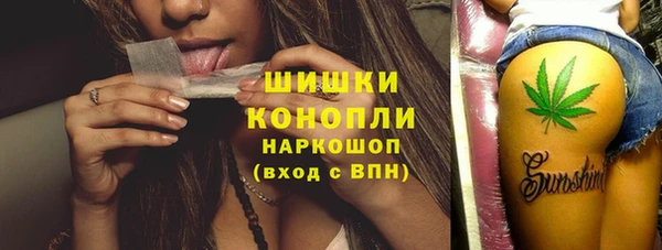 шишки Краснослободск