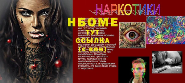 шишки Краснослободск