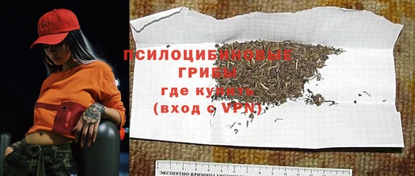 шишки Краснослободск