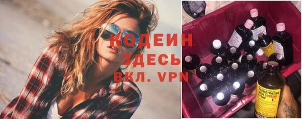 шишки Краснослободск