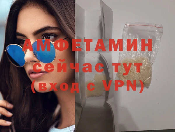 шишки Краснослободск