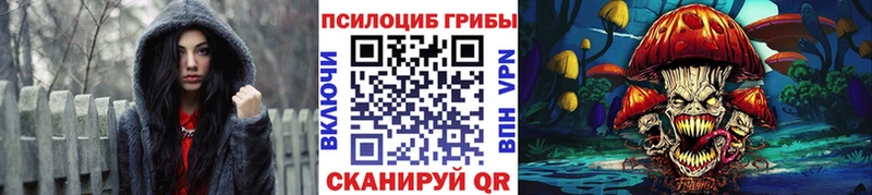 Псилоцибиновые грибы Magic Shrooms  мега вход  Тутаев 