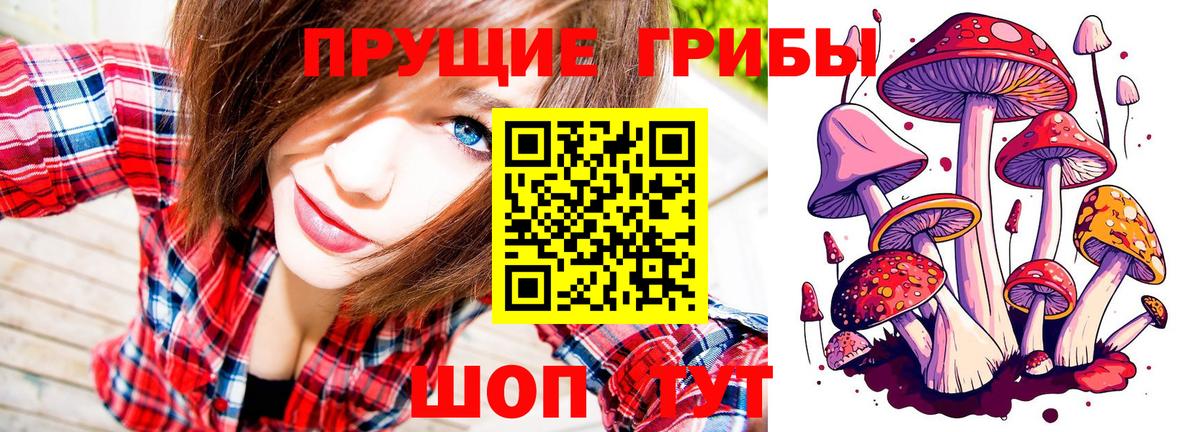 Тутаев  Псилоцибиновые грибы GOLDEN TEACHER  Псилоцибиновые грибы MAGIC MUSHROOMS  Вход с VPN 